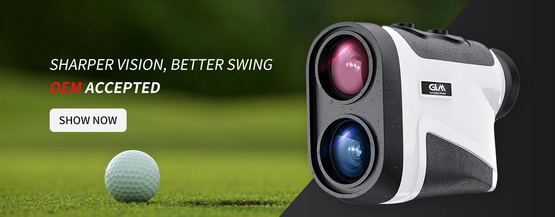 www.golfvisionmaster.com